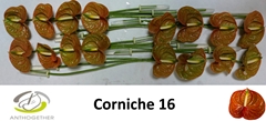 Anth A Corniche 11cm Ø