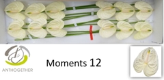 Anth A Moments 13cm Ø