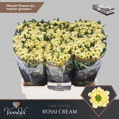 Chr San Rossi Cream 55cm 120g