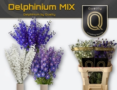 Delph Mixed 110cm 23