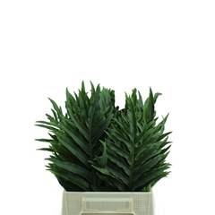 Decor Groen Other 45cm