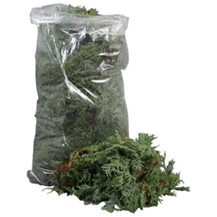 Chamae Squarros Bunch 25cm 982gram