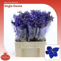 Delph En Donna Blue 60cm 23