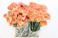 Di St Hermes Orange 70cm 23