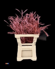 Decorgr Klb Pb 21% 60cm