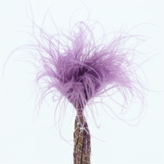Droogbl Bewerkt H% 60cm