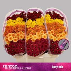 Chr San Mixed 55cm 110g