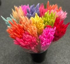 Droogbl Bewerkt H% 60cm 60gram