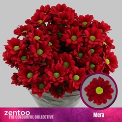 Chr T Mera 70cm 110gram
