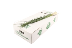 Xerophyl Beargras Bs 85cm