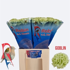 Di St Goblin