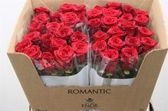 R Gr Red Naomi! Romantic Xxl 60cm R