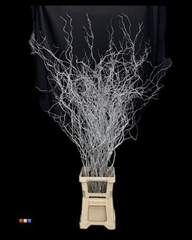 Salix 130cm Silver