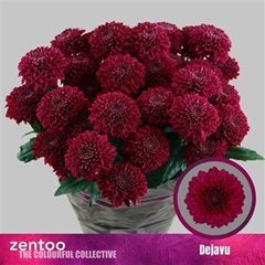 Chr T Dejavu 70cm 90gram
