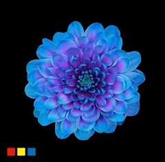 Chr T Altaj Blue Lagoon