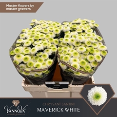 Chr S Maverick White Ex