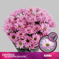 Chr T Katinka 70cm 90gram