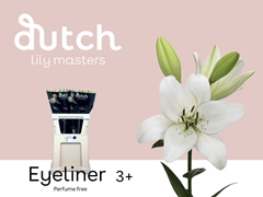 Li Az Eyeliner 80cm 35+