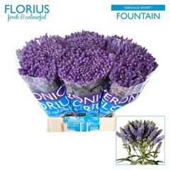 Veron Smart Fountain 50cm