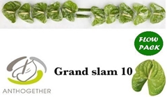 Anth A Grand Slam 9cm Ø