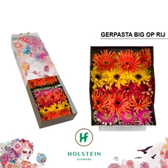 Ge Kv Gpa Op Rij Gem 45cm 10cm Ø