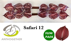 Anth A Safari 13cm Ø