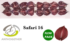Anth A Safari 11cm Ø