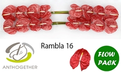 Anth A Rambla 11cm Ø