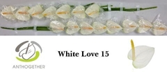 Anth A White Love 7cm Ø