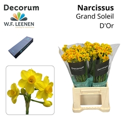 Narc Ta Soleil Dor 45cm 25gram