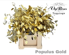 Euca Populus Bes Gold