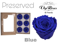 R Preserved Blue
