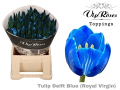 Tu En Rv Delft Blue