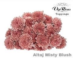 Chr T Altaj Misty Blush