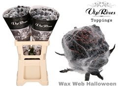 R Gr Wax Web Halloween