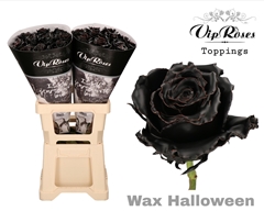 R Gr Wax Halloween X20