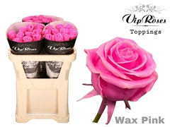R Gr Wax Pink X30 998