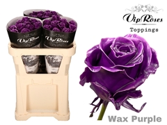 R Gr Wax Purple X30 998