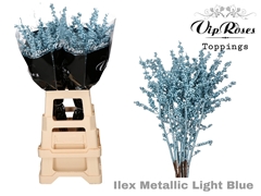 Ilex Metallic Light Blue 70 Cm