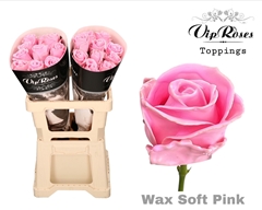 R Gr Wax Soft Pink (60CM)