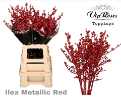 Ilex Metallic Red 80 Cm