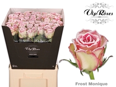 R Gr Frost Monique