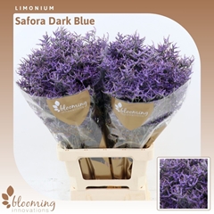 Lim Saf Dark Blue 70cm 30gram