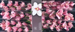 Cymb T Mrs Teresa 80cm 13+