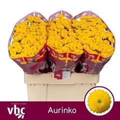 Chr San Aaa Aurinko 55cm 100g