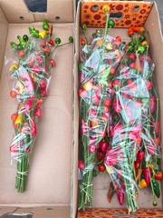 Sierpepers Tak 90cm