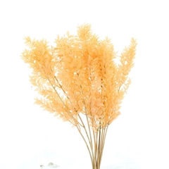 Droogbl Bewerkt H% 70cm