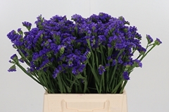 Lim S Cryst Dark Blu 40cm