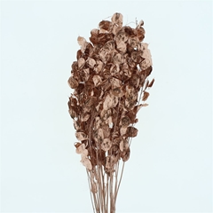 Droogbl Bewerkt H% 70cm