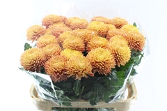 Chr G Bigoudi Bronze 80cm 115gram